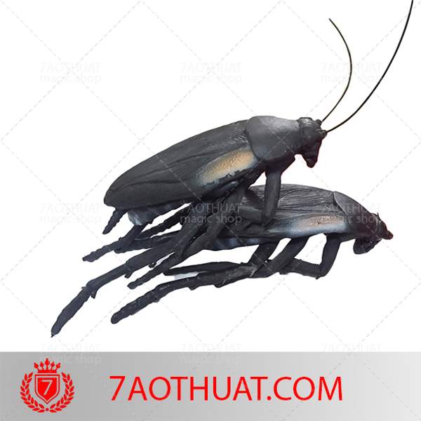 Super-Jumbo-Cockroach (6)