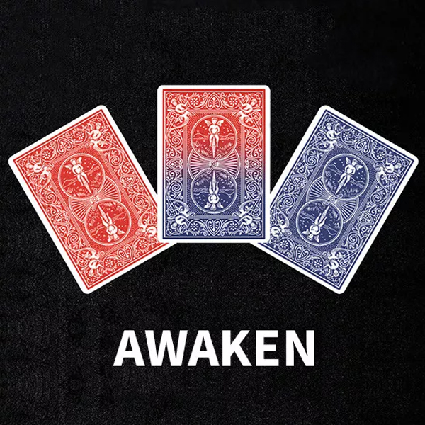 Awaken (4)